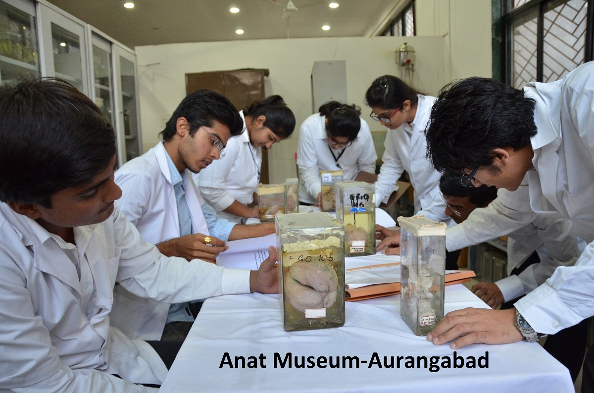 Anat Museum-Aurangabad